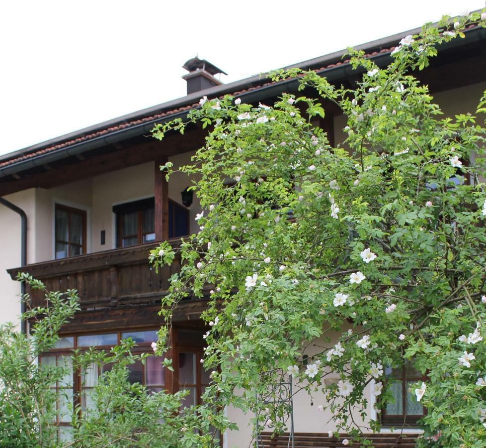 Apartment Andrea - Chiemgau Karte Inzell Exterior foto